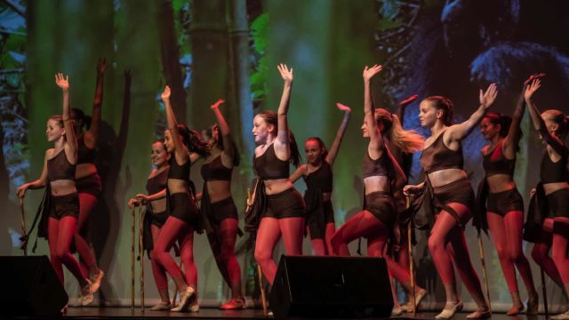 Spectacle Femmes développement 2018