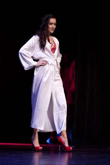 Charity Dinner 2012 photo
