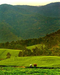 Rwanda trip itinerary, 10 to 17 March 2012 photo